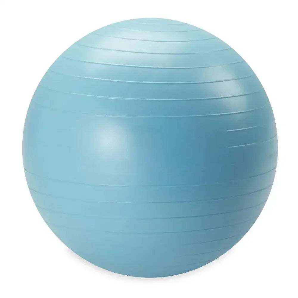 Weighted Stability Ball With Pump Included For Home Exercise