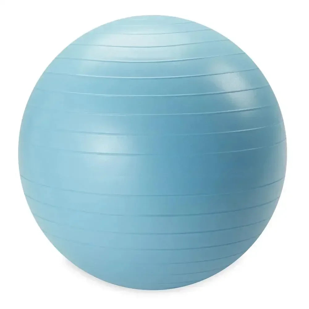 Weighted Stability Ball With Pump Included For Home Exercise